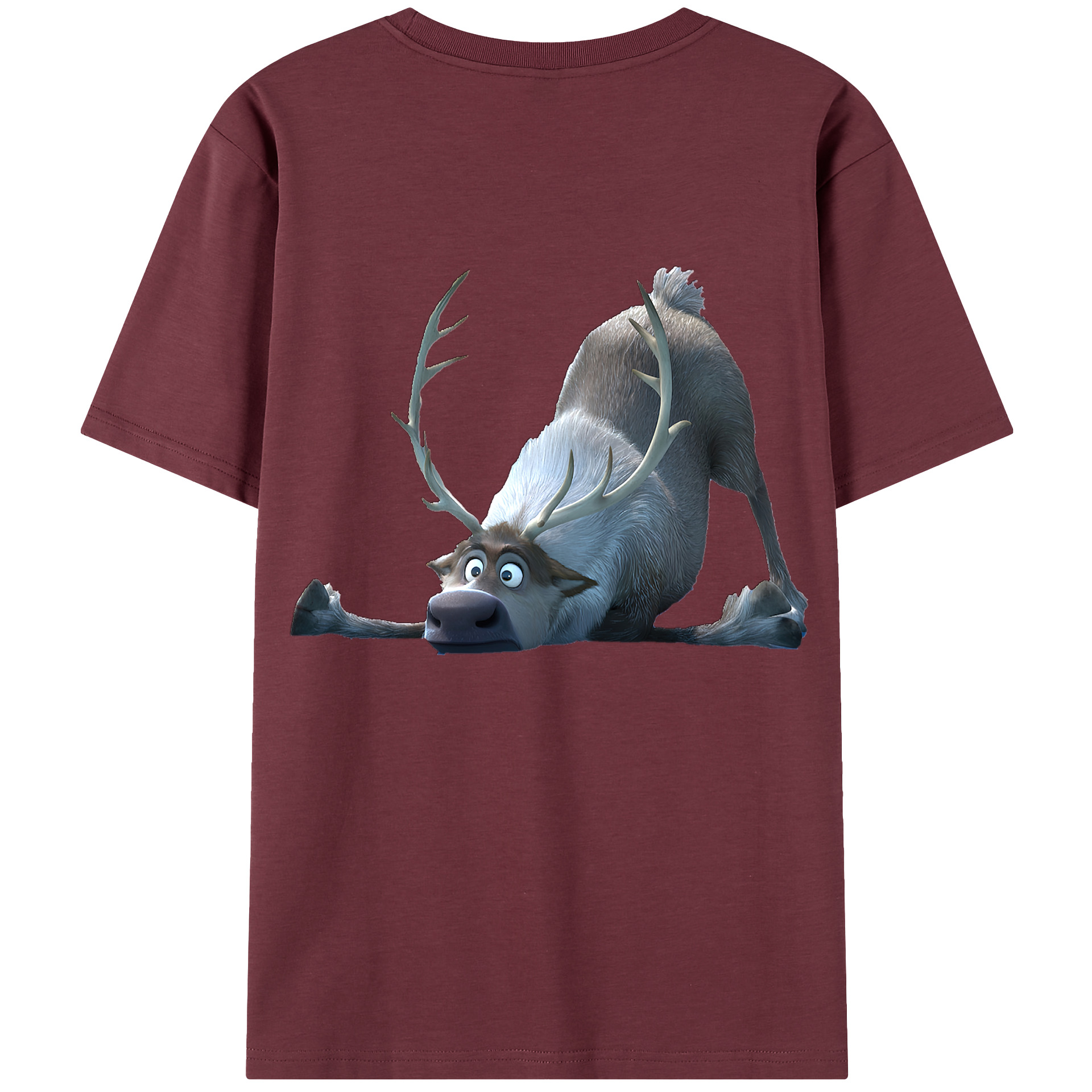 （画像用） アナと雪の女王 アンナ エルサ Frozen Anna Elsa 綿100％半袖Tシャツ（背面プリント）